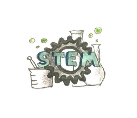 Students combat lack of diversity in STEM classes