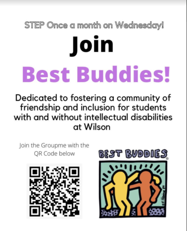 Best Buddies revived after virtual interlude